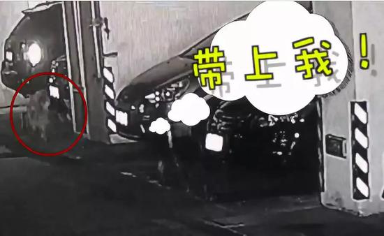 AG亚娱集团官方|天津滨海新区爆炸事故 国华人寿采取六项举措积极应对(图2) ag亚娱官网