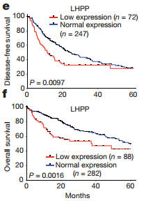 华泰保险董事长王梓木 确认出席2020搜狐财经峰会并作演讲“AG亚娱集团官方”(图4) AG亚娱集团官方