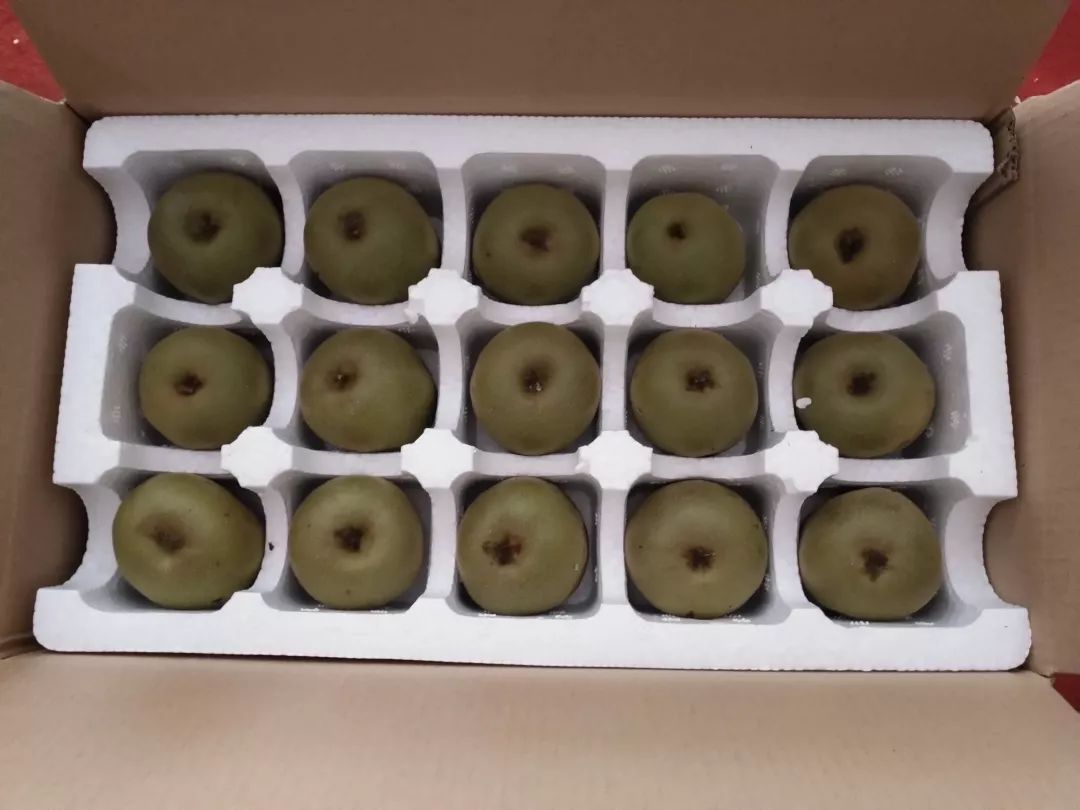 AG亚娱集团官方