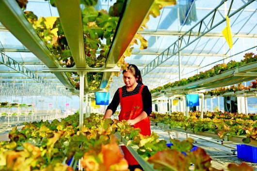 AG亚娱集团官方