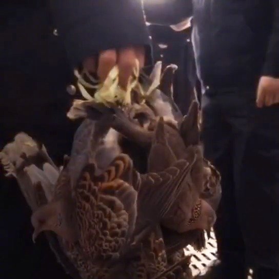 本市公积金贷款暂停收取担保费【AG亚娱集团】(图1) ag亚娱官网