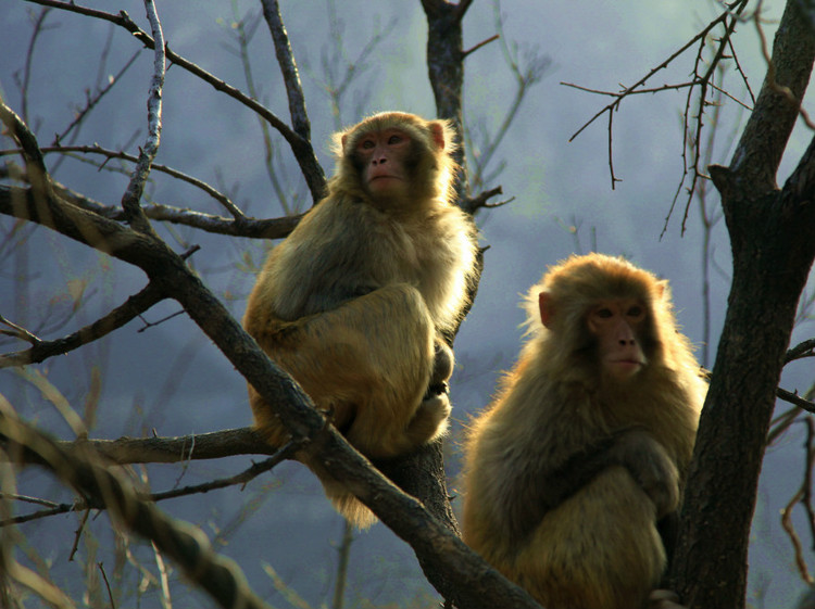 ag亚娱官网_(锐财经)国家医保目录大调在即(图1) AG亚娱集团官方