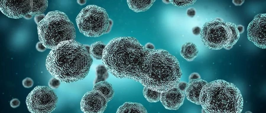 第668章 神殿!【AG亚娱集团官方】(图2) AG亚娱集团官方