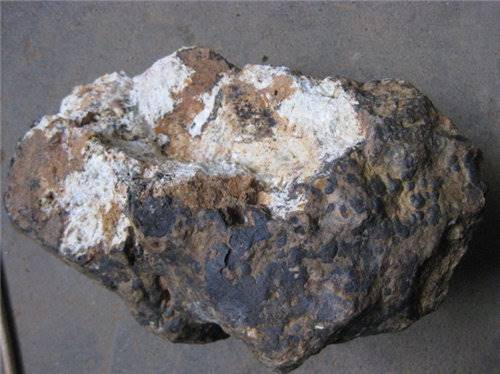 市文广旅局副局长王中文到鹤壁职业技术学院培训全域旅游生长‘AG亚娱集团官方’(图4) ag亚娱官网