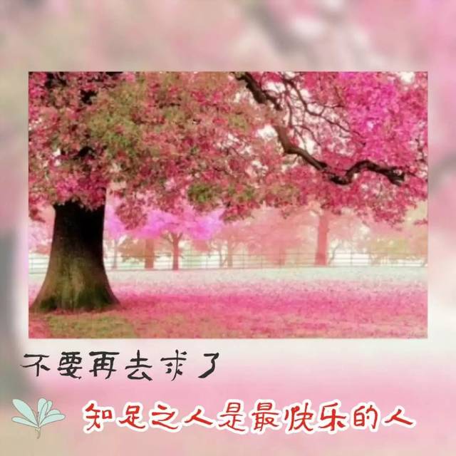 ag亚娱官网_澎湃新闻:女子不堪家暴跳楼致残 请保障她的离婚权(图1) AG亚娱集团