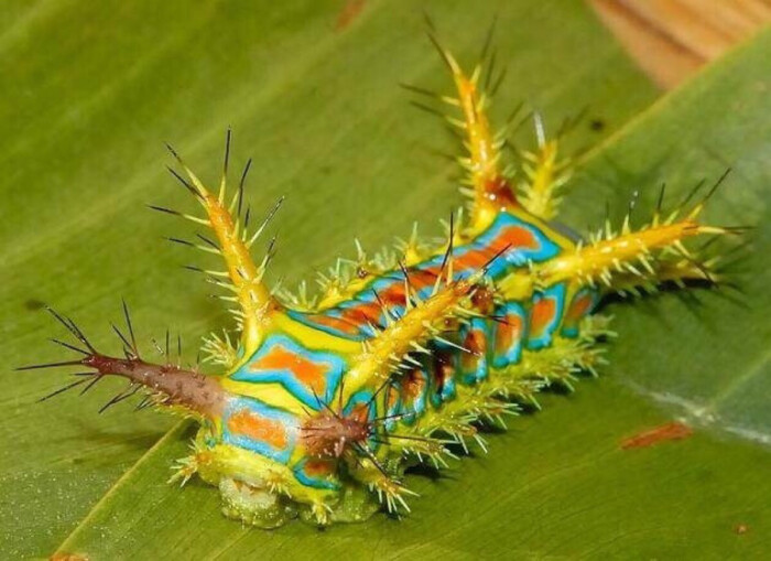 AG亚娱集团|富力计划发行公司债劵募集10-20亿元 融资成本或超10%(图1) ag亚娱官网