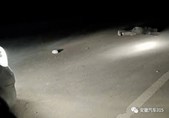 ag亚娱官网_
因逝者没有直接受益人拒绝赔付？建议起诉 车主胜诉后保险公司要继续上诉？(图1)