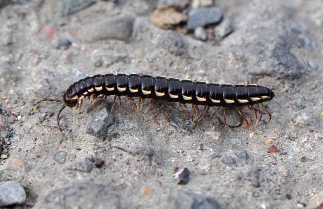 2019年湘潭工伤保险最新规定:赔偿标准、范围、流程:ag亚娱官网(图2) AG亚娱集团