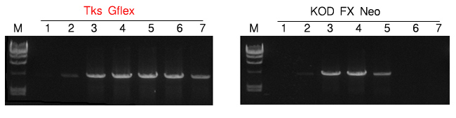 第1145章 还有这样的好地方:AG亚娱集团(图3) ag亚娱官网