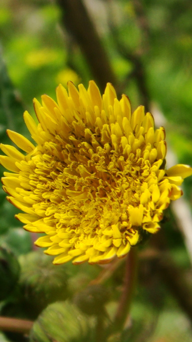 ag亚娱官网_财经观察:美国大银行二季度业绩凸显经济隐忧(图3) ag亚娱官网