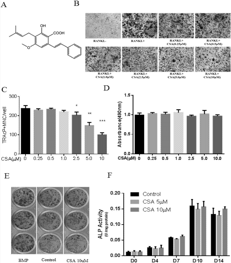 美银美林:青岛啤酒目标价升至87港元 维持买入评级‘ag亚娱官网’(图1) ag亚娱官网