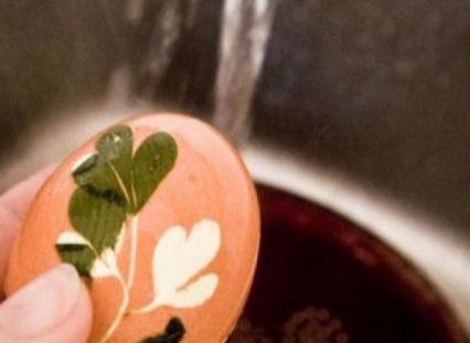 AG亚娱集团官方|第726章 暗燕计划!(图3) ag亚娱官网