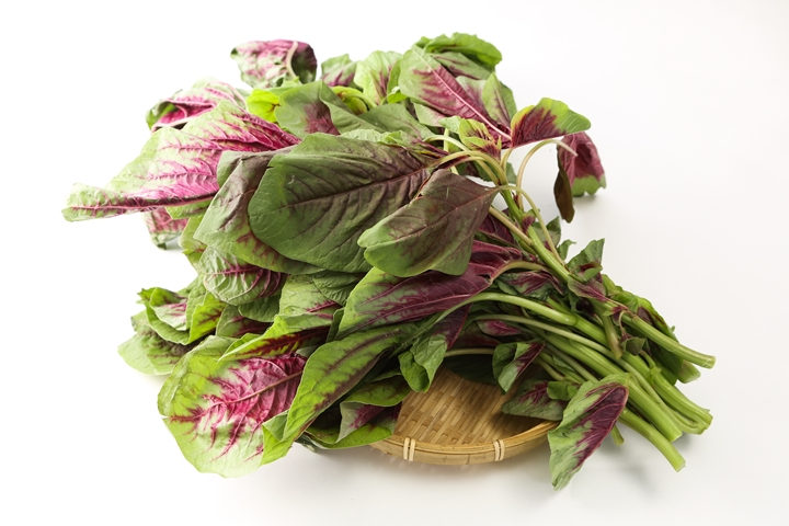 第1789章 掀了你的王八壳子【ag亚娱官网】(图1) AG亚娱集团