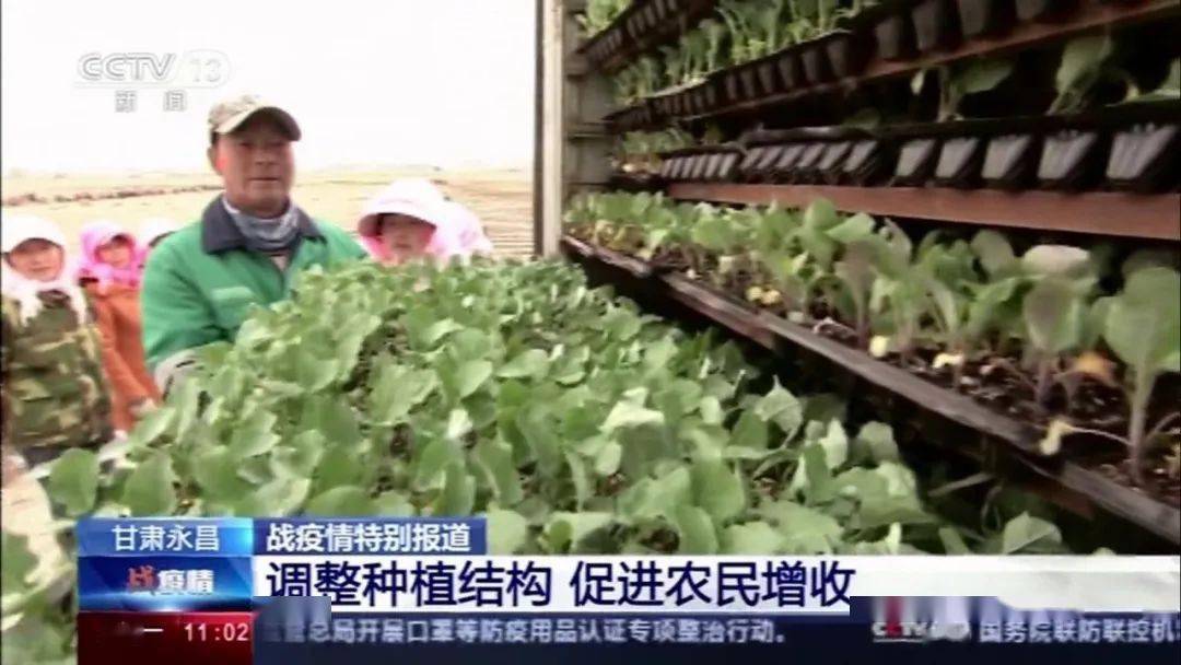 
收官！突破！再出发！金昌新闻宣传为都会高质量生长注入强心针|AG亚娱集团官方(图3)