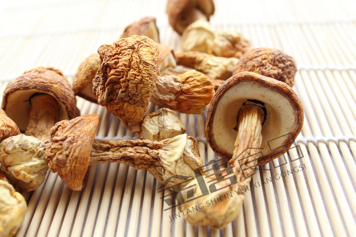 AG亚娱集团官方