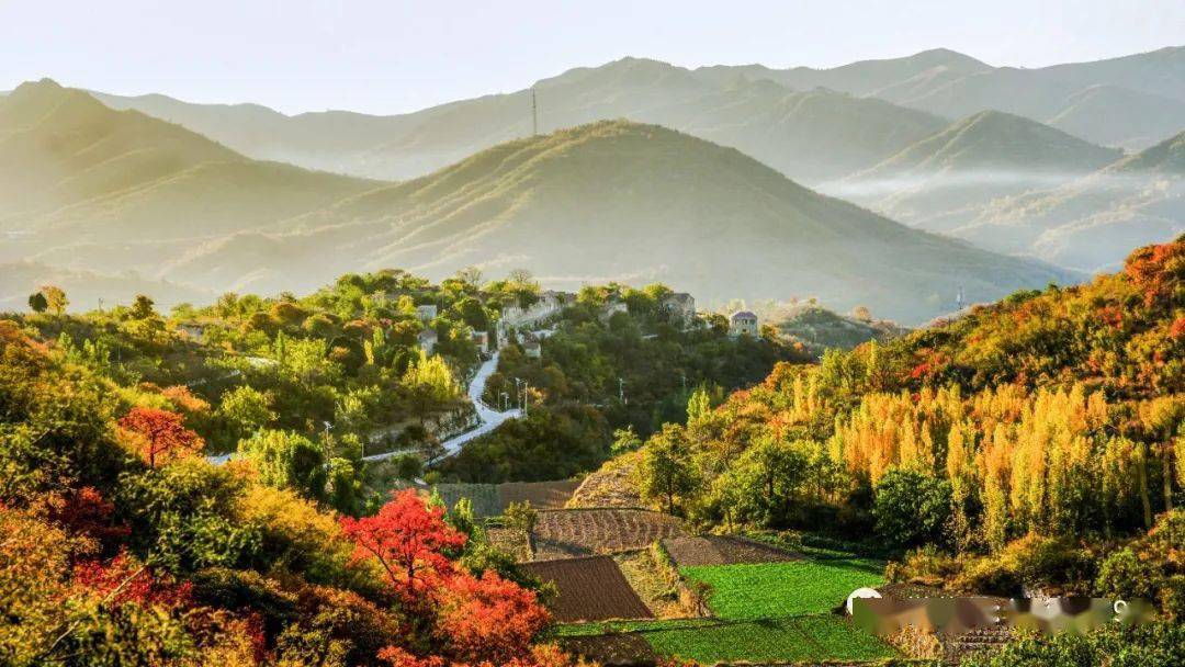 “AG亚娱集团”
市文广旅局副局长王中文做客鹤壁经济广播《五点开整》！(图2)