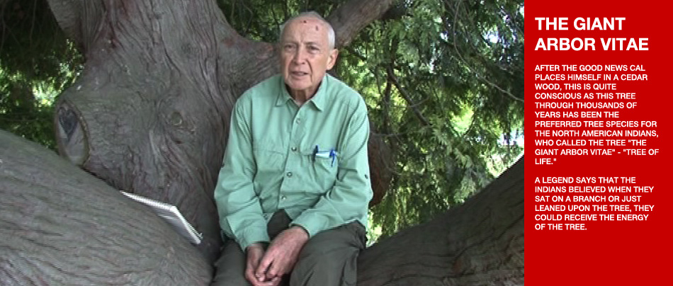 AG亚娱集团官方:第二千一百四十六章 死里逃生、十三翼再现(图1) ag亚娱官网