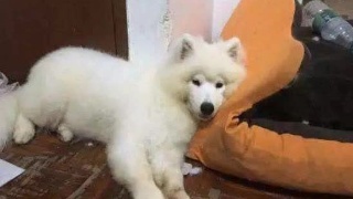 AG亚娱集团|第1225章 姨姨对我好着呢(图1) AG亚娱集团