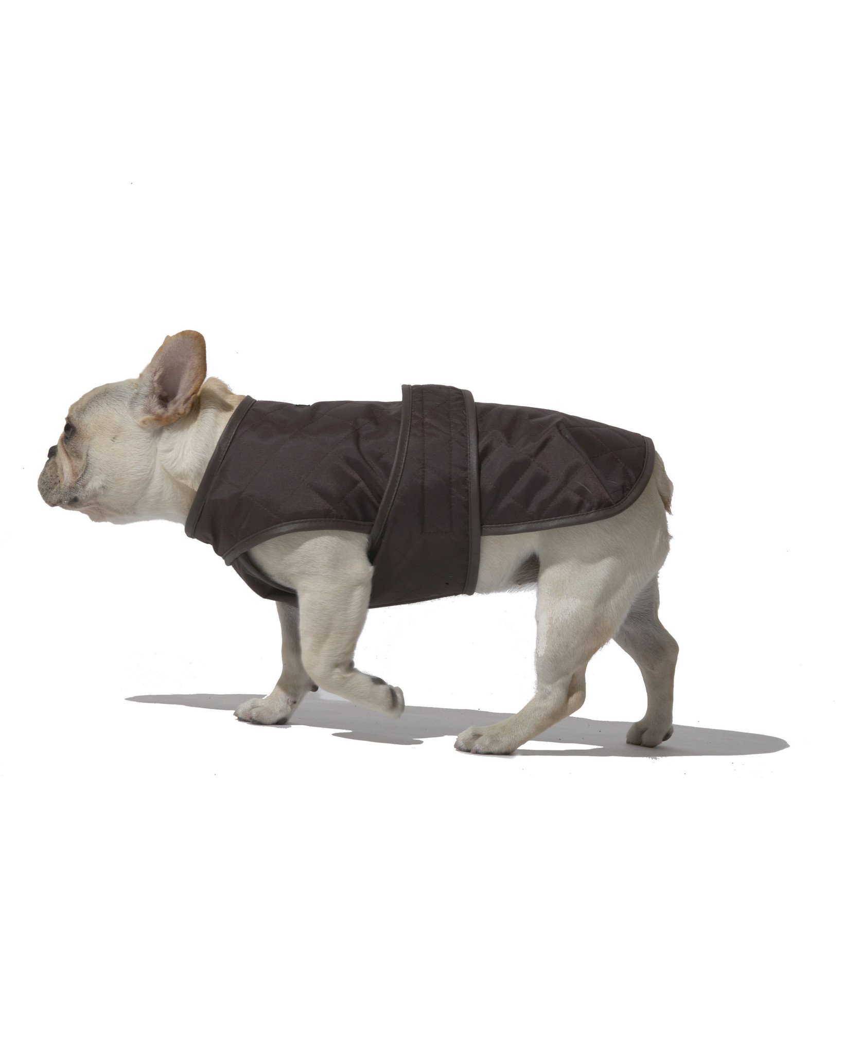 四川广元:风雪中的纪检干部‘AG亚娱集团’(图1) AG亚娱集团