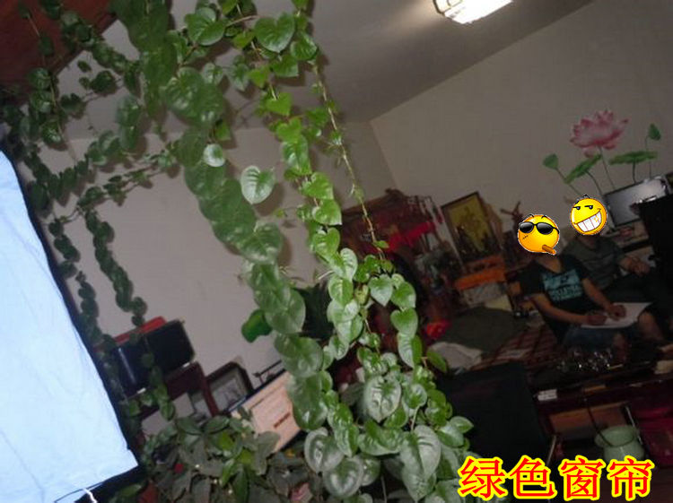 ‘AG亚娱集团官方’摩根士丹利带领财团入股 众安保险首轮融资估值超80亿美元(图1) ag亚娱官网