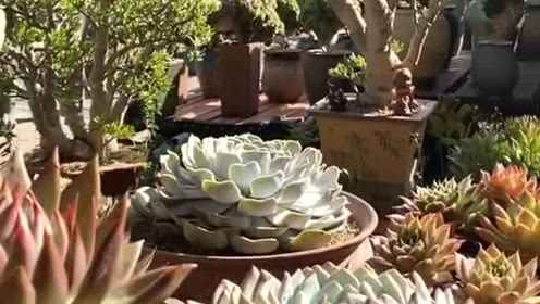 AG亚娱集团-阳光保险试水消费金融(图4) ag亚娱官网