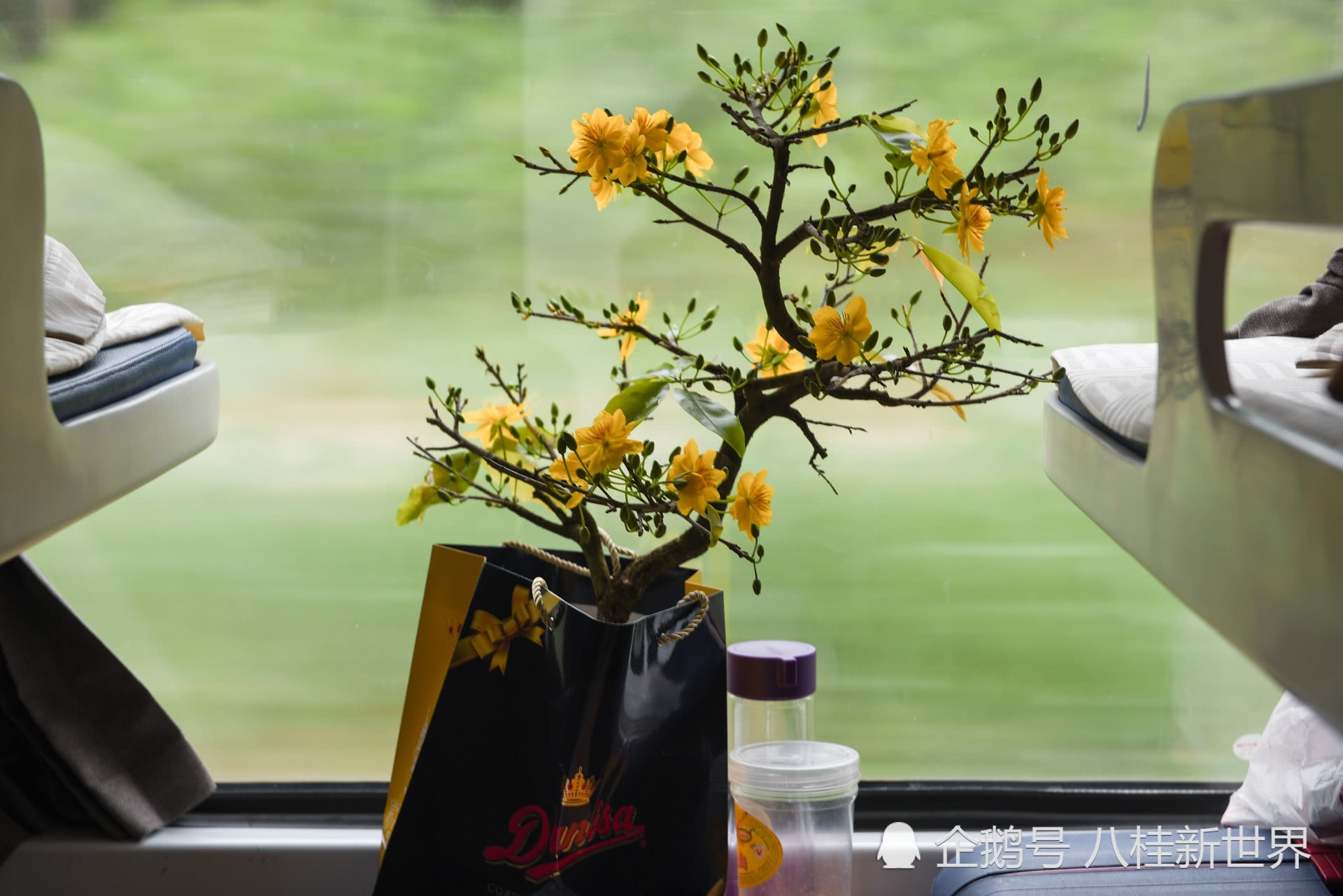 【AG亚娱集团】现在面对养老的发展问题我们应该首先考虑社会养老保险(图1) AG亚娱集团