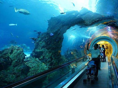 AG亚娱集团官方