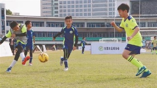 检察官提醒:粉丝们这些追星行为可能涉嫌违法-ag亚娱官网(图4) AG亚娱集团官方