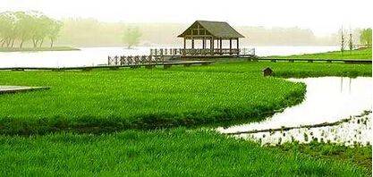 检察官提醒:粉丝们这些追星行为可能涉嫌违法-ag亚娱官网(图2) AG亚娱集团