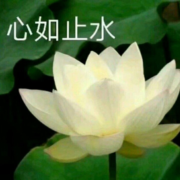 第628章 死寂之气“AG亚娱集团官方”(图1) ag亚娱官网