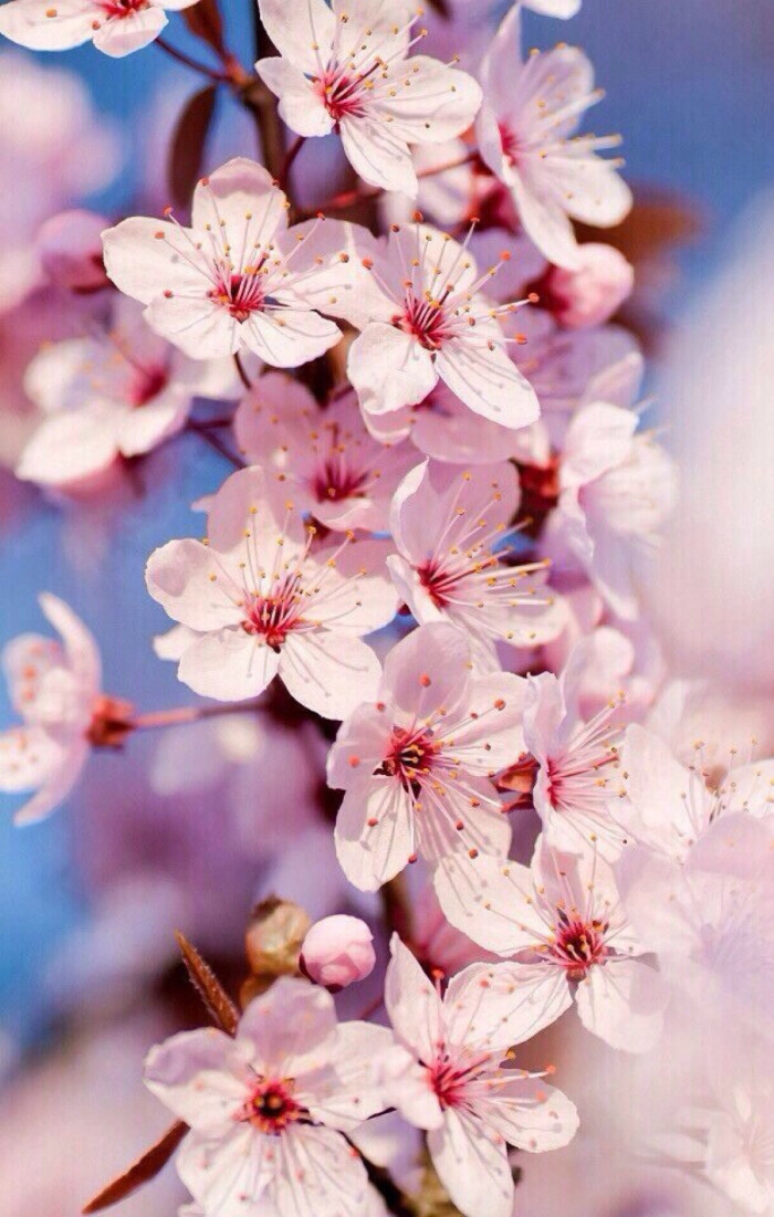 AG亚娱集团官方