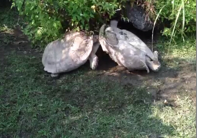 AG亚娱集团官方