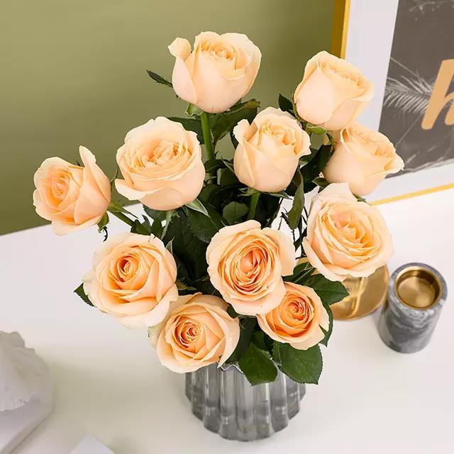 AG亚娱集团_西藏政策性农业保险累计赔款超7亿元(图2) ag亚娱官网