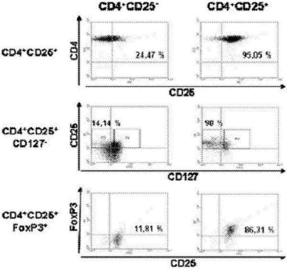 AG亚娱集团官方