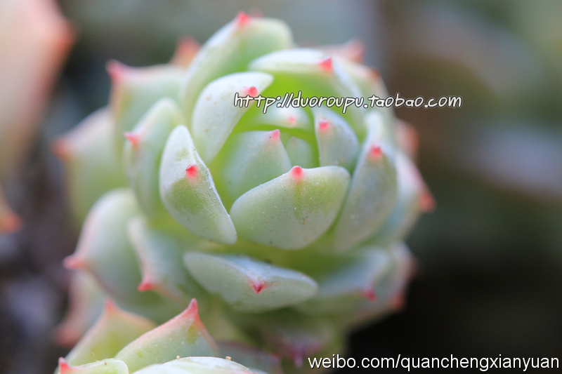 AG亚娱集团官方