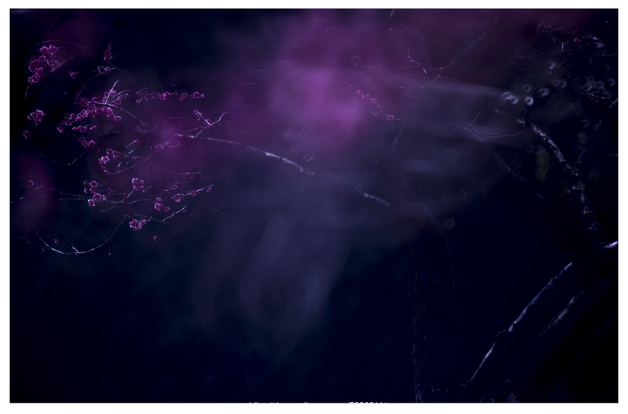 又一免税牌照将落定:海汽集团股价秒板 谁将成为下一个?“AG亚娱集团”(图2) AG亚娱集团