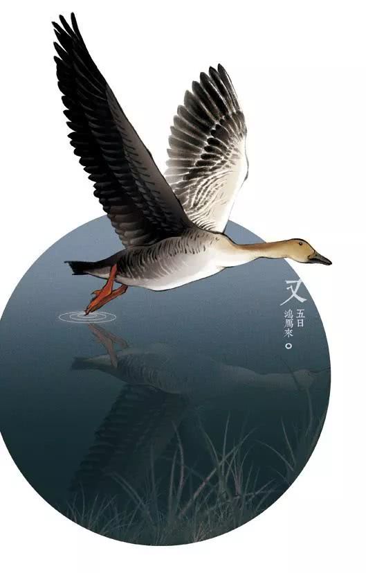 AG亚娱集团官方