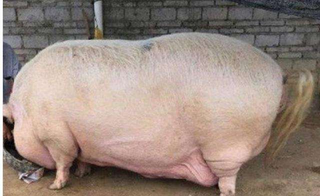 AG亚娱集团官方