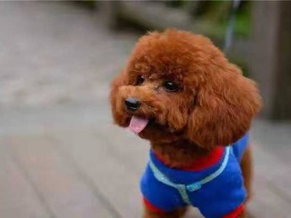 ag亚娱官网_中国保险监督管理委员会青岛监管局(2014-11-18 00:00:00)(图1) AG亚娱集团官方