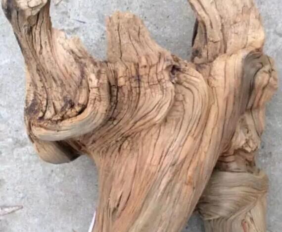 AG亚娱集团|重庆江津山体滑坡致一人被埋(图3) ag亚娱官网