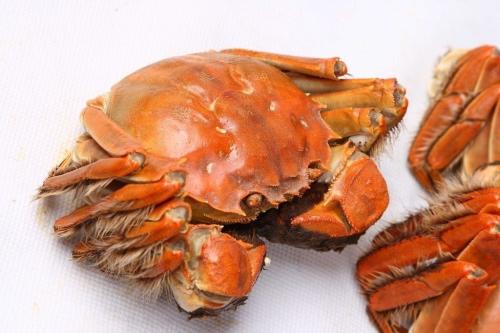 宁波中百5亿担保事件调查:“后遗症” 显现 被担保方破产重整‘AG亚娱集团’(图1) AG亚娱集团官方