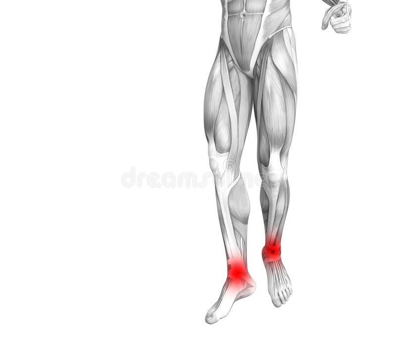 保险独立经纪人或成为未来最耀眼的职业“ag亚娱官网”(图1) AG亚娱集团官方