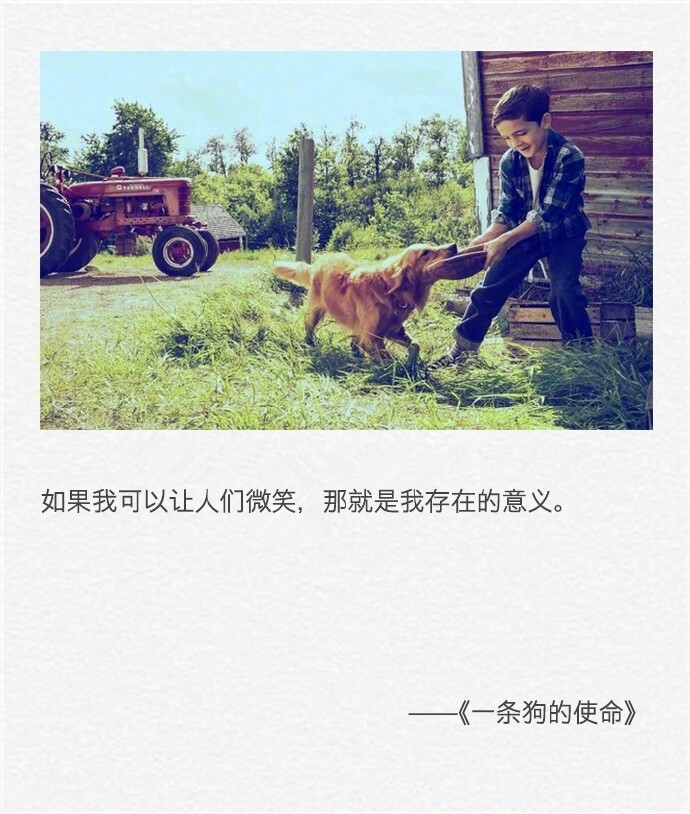 AG亚娱集团官方