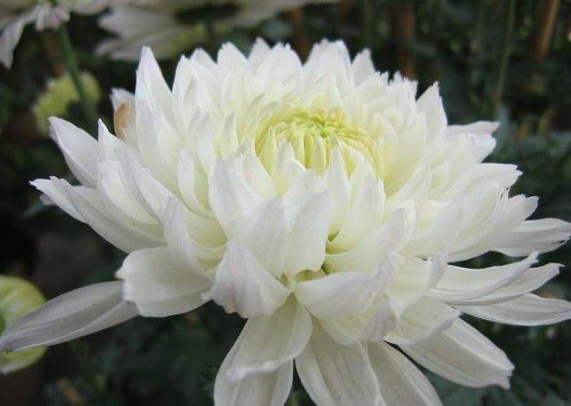 与扎克伯格听证会冲突 Facebook推迟发布第二季度财报【ag亚娱官网】(图4) AG亚娱集团